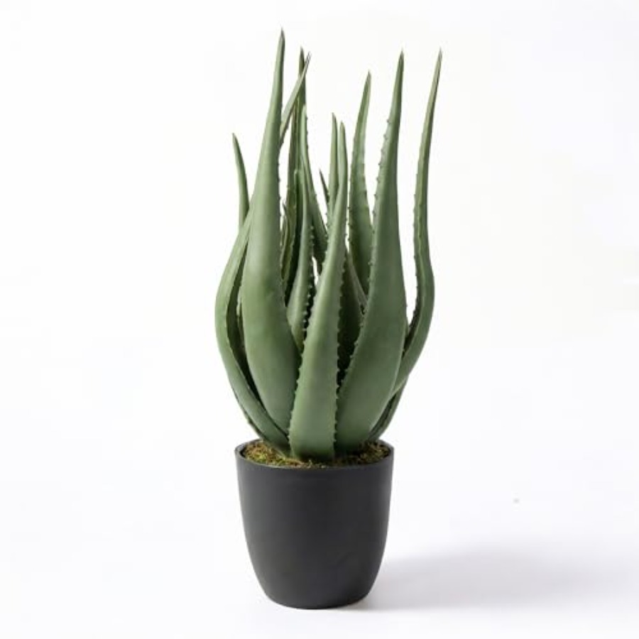 Large Potted Artificial Aloe V - Aloe Vera Pot 评论和价格