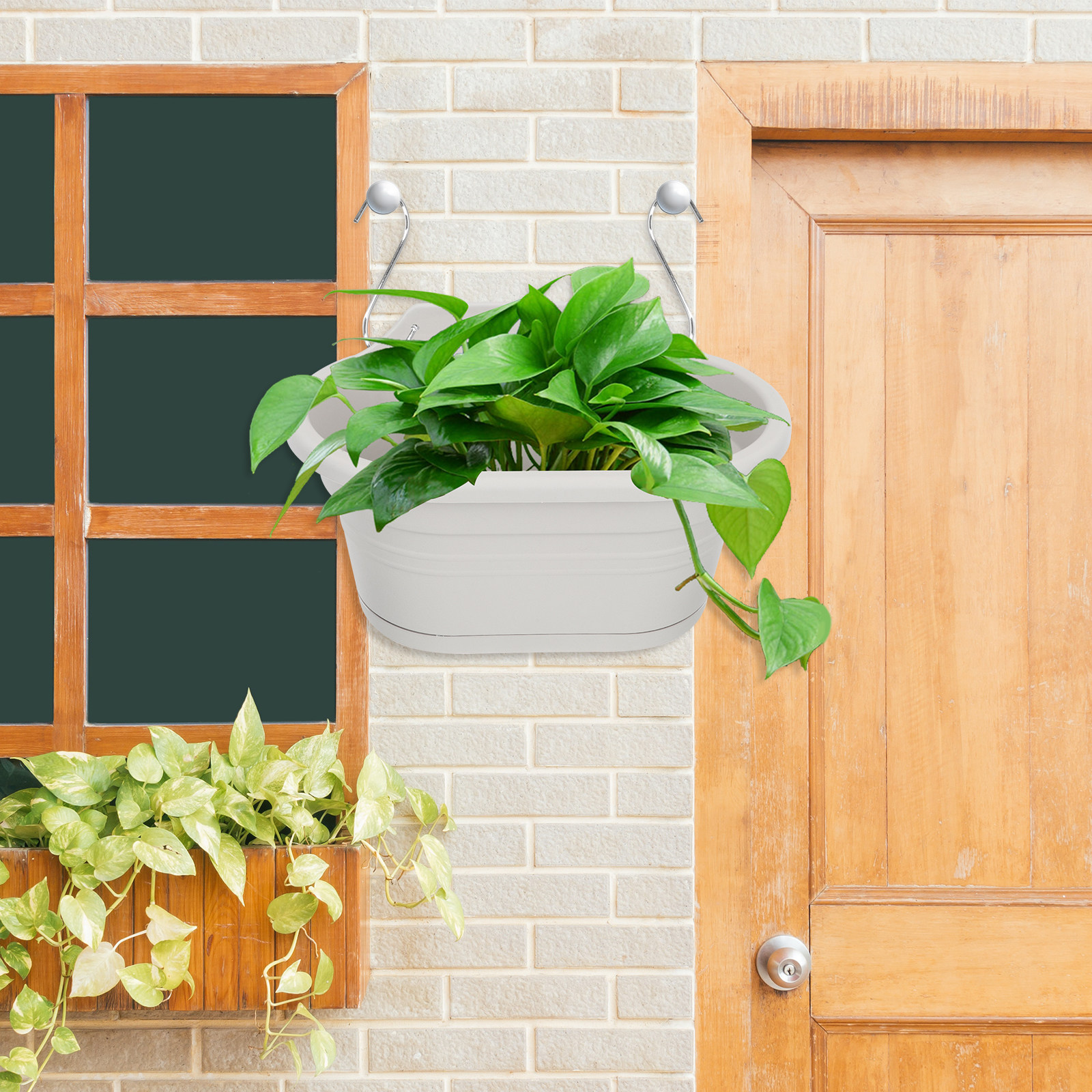1Set Wall Hanging Flower Pot S - Spider Plant Hanging 评论和价格