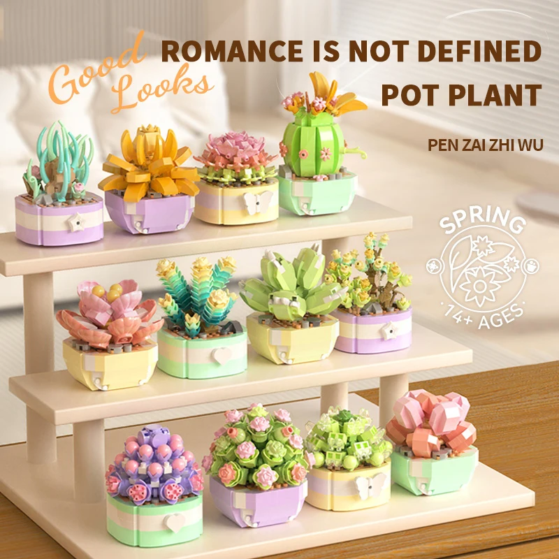 Flower Succulents Building Blo - Echeveria Succulent 评论和价格