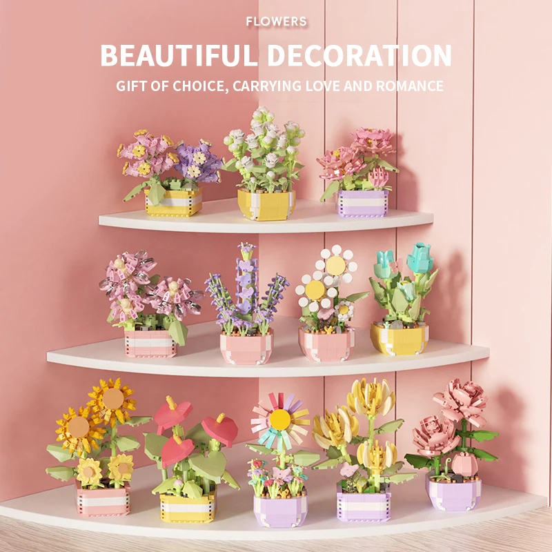 Flower Succulents Building Blo - Echeveria Succulent 评论和价格