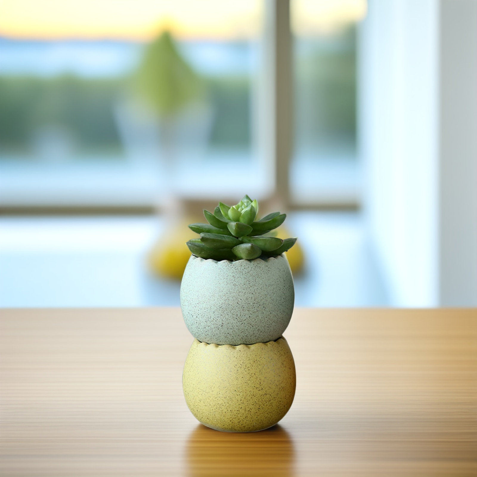 6Pcs Stylish Ceramic Mini Pots - Aloe Vera Pot 评论和价格