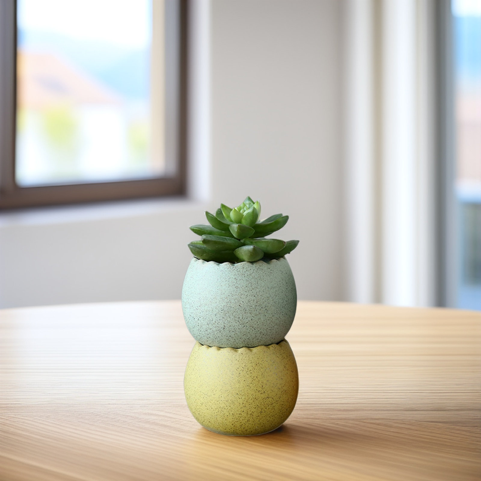 6Pcs Stylish Ceramic Mini Pots - Aloe Vera Pot 评论和价格