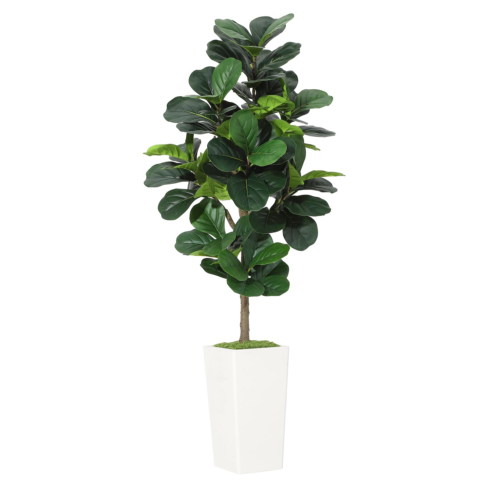 Artificial Fiddle Leaf Fig Tre - Ficus Lyrata Tree 评论和价格