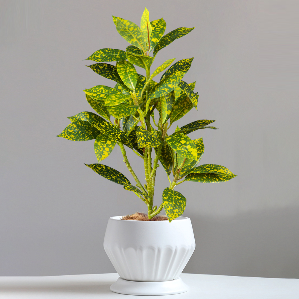 24-41cm Artificial Ficus Tree  - Ficus Lyrata Tree 评论和价格