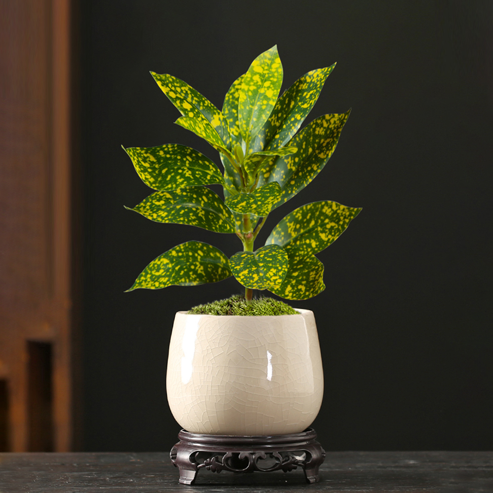 24-41cm Artificial Ficus Tree  - Ficus Lyrata Tree 评论和价格