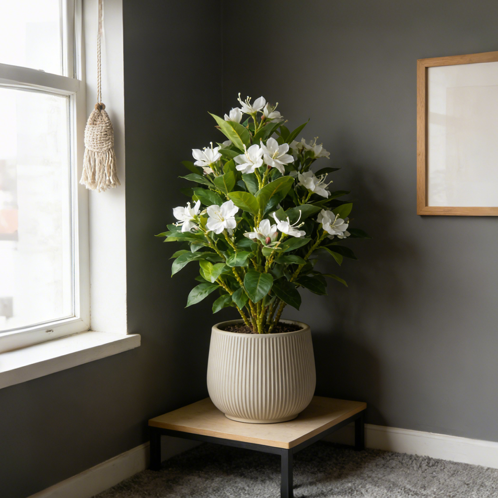 21-40cm Artificial Azalea Flow - Ficus Lyrata Tree 评论和价格