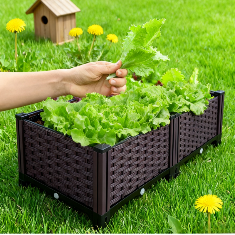 Balcony Vegetable Planting Pot - Aloe Vera Pot 评论和价格