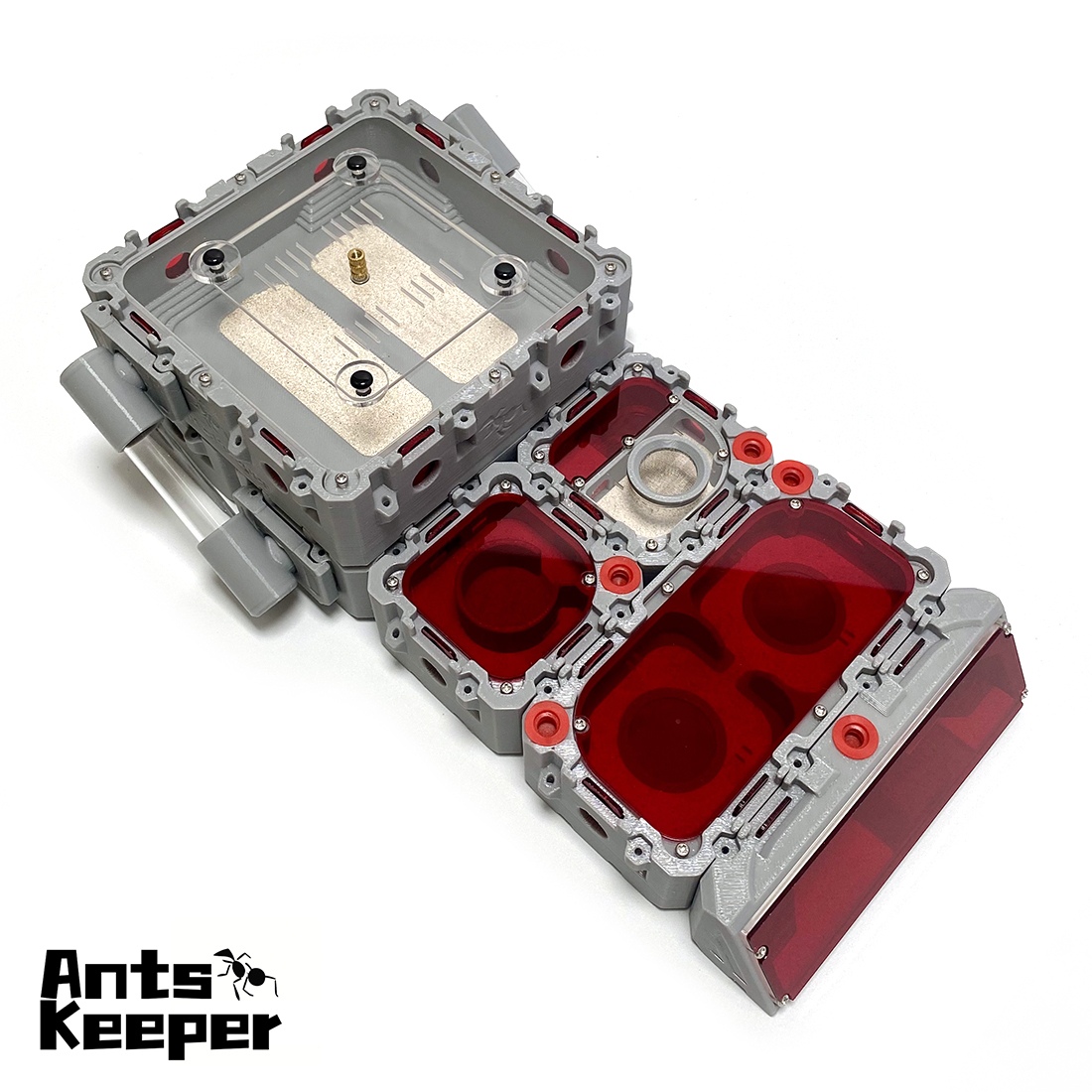 【Lego】Expandable Modular Formi - Begonia Rex 评论和价格