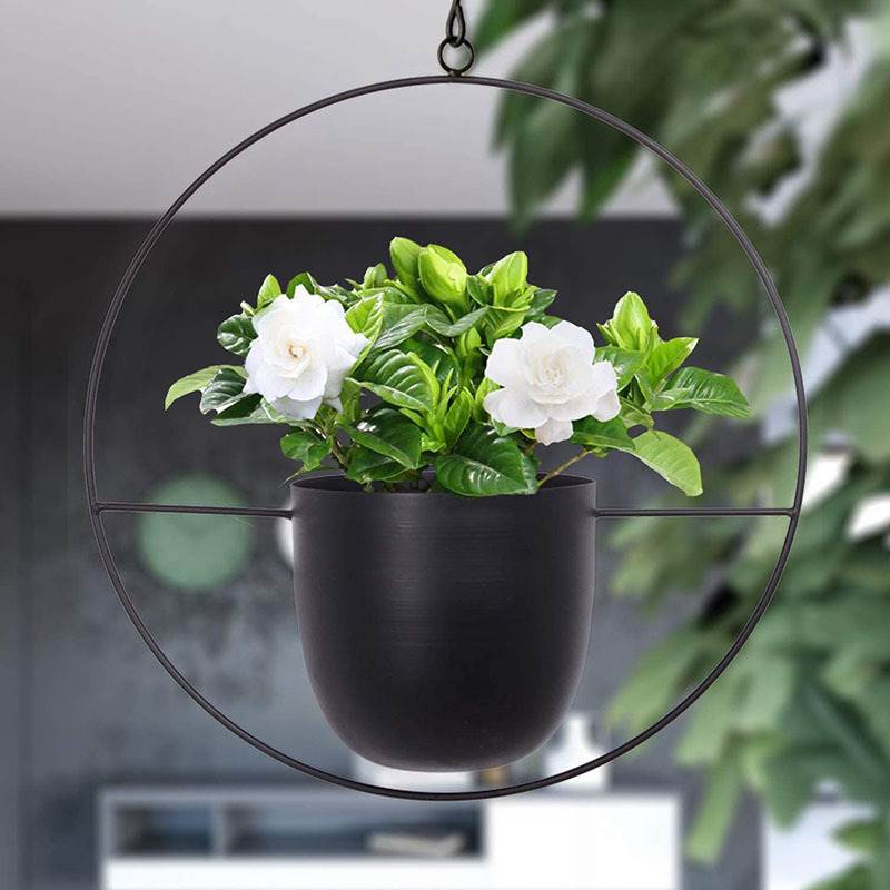 Hanging Iron Art Plant Pots Ba - Spider Plant Hanging 评论和价格