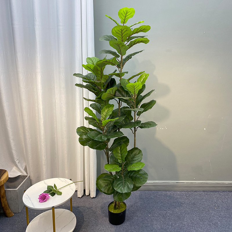 59in Large Ficus Tree Artifici - Dracaena Marginata 评论和价格
