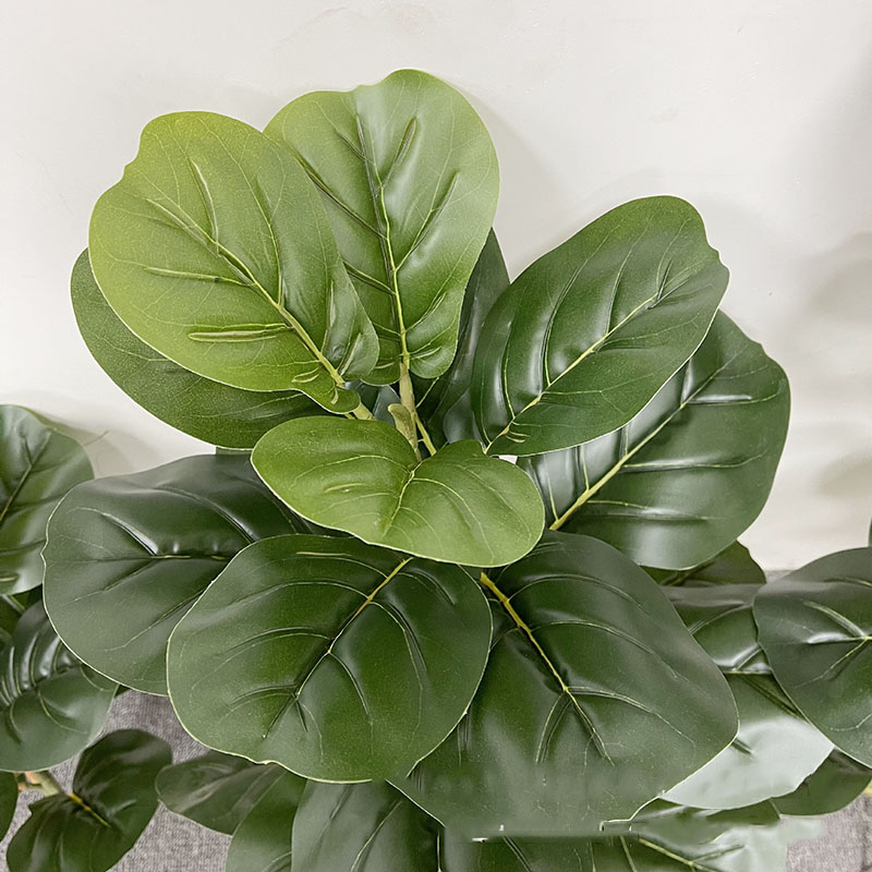 59in Large Ficus Tree Artifici - Dracaena Marginata 评论和价格