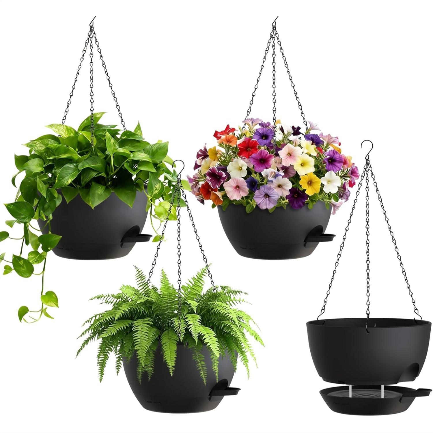 8 Inch Self Watering Hanging P - Spider Plant Hanging 评论和价格