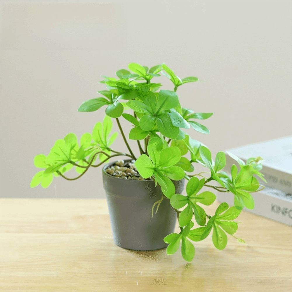 Bonsai Artificial Bonsai Plant - Spider Plant Hanging 评论和价格