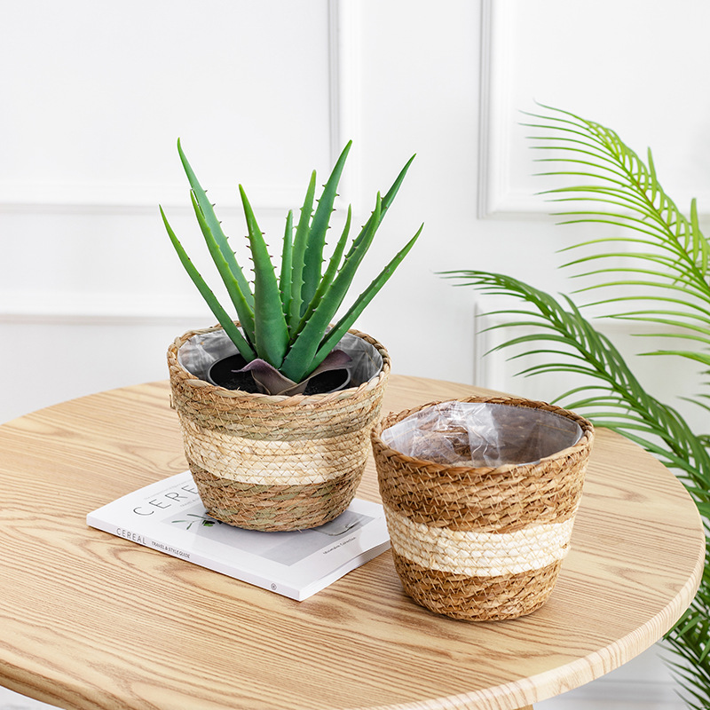 Natural Woven Flower Basket St - Aloe Vera Pot 评论和价格