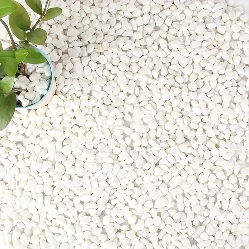 White Pebbles Decorative Stone - Echeveria Succulent 评论和价格