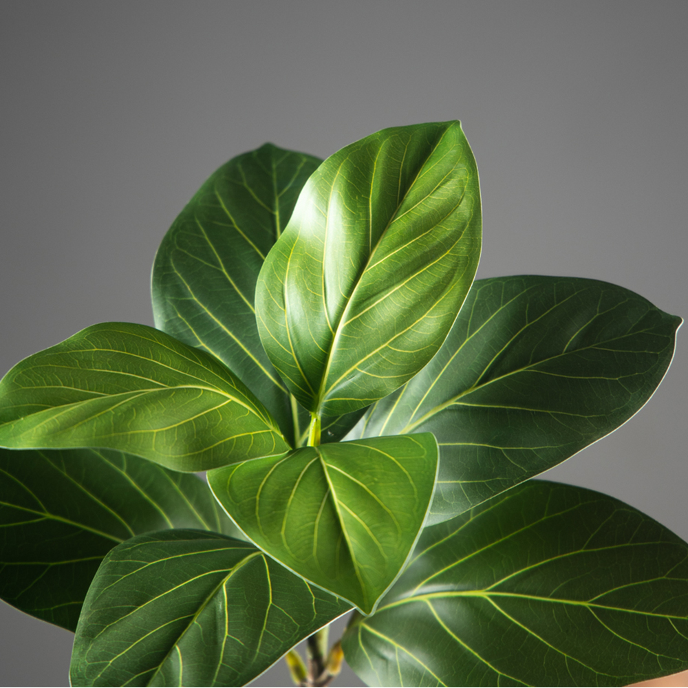 70-130cm Large Artificial Bany - Ficus Lyrata Tree 评论和价格