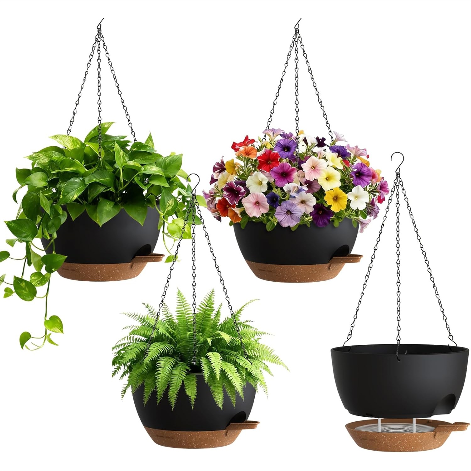 Self Watering Hanging Planters - Spider Plant Hanging 评论和价格