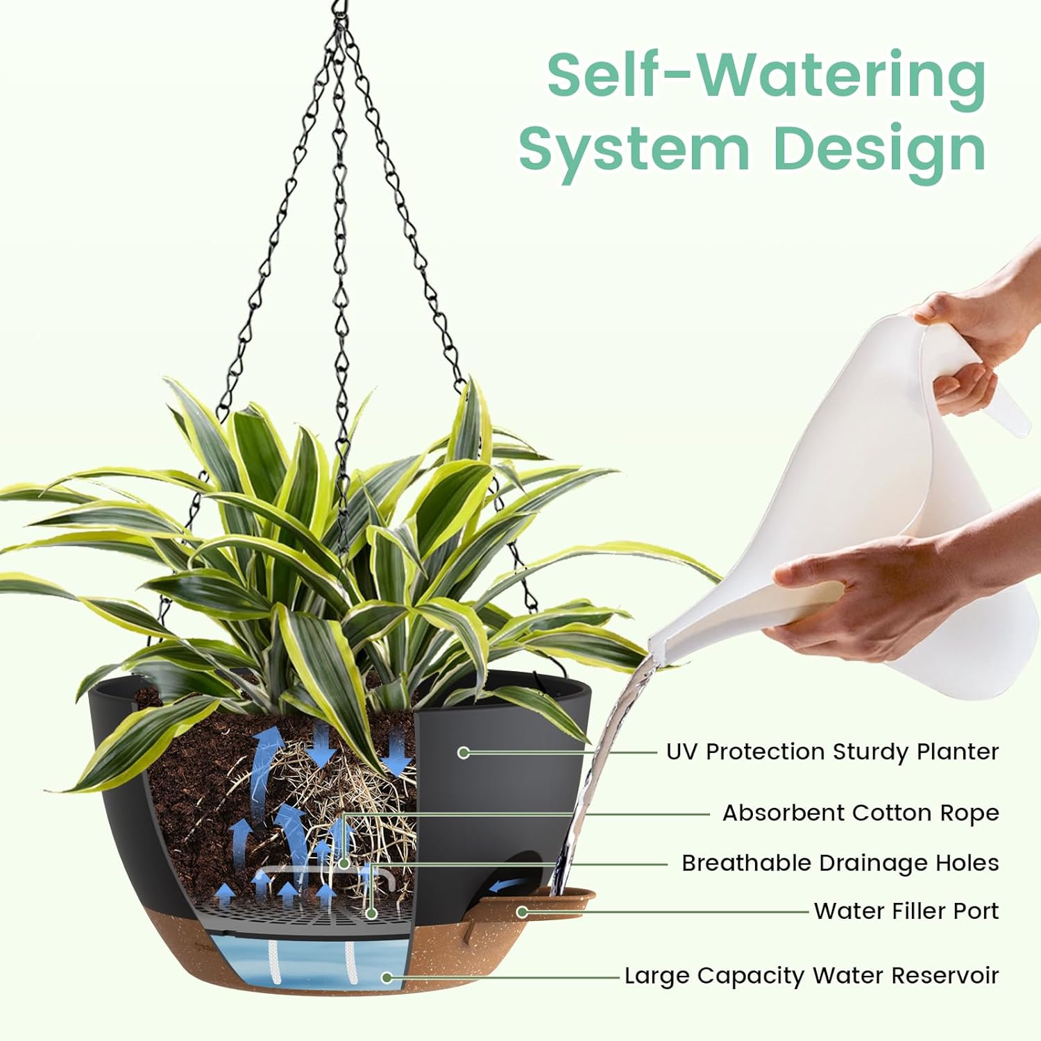 Self Watering Hanging Planters - Spider Plant Hanging 评论和价格