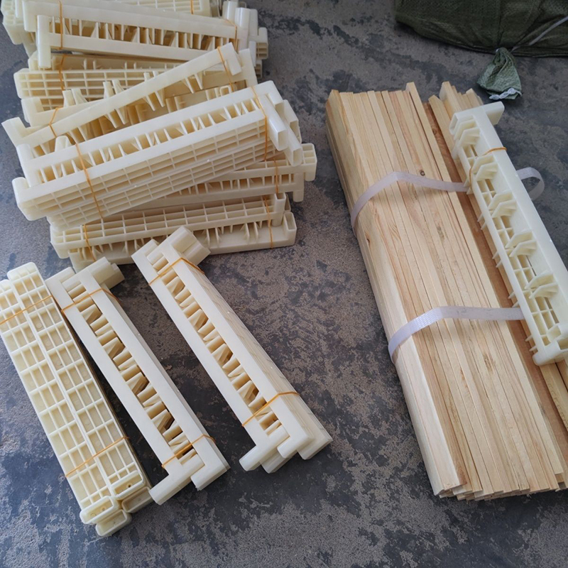 Bee Breeding Frames Plastic Ch - Begonia Rex 评论和价格