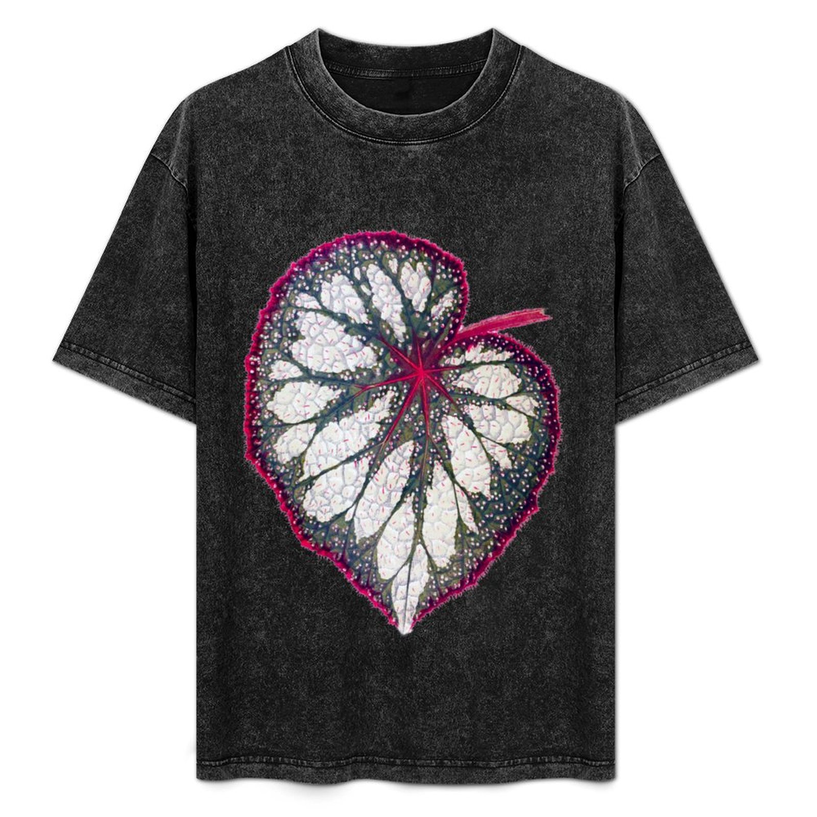Begonia rex T-Shirt Holiday Si - Begonia Rex 评论和价格
