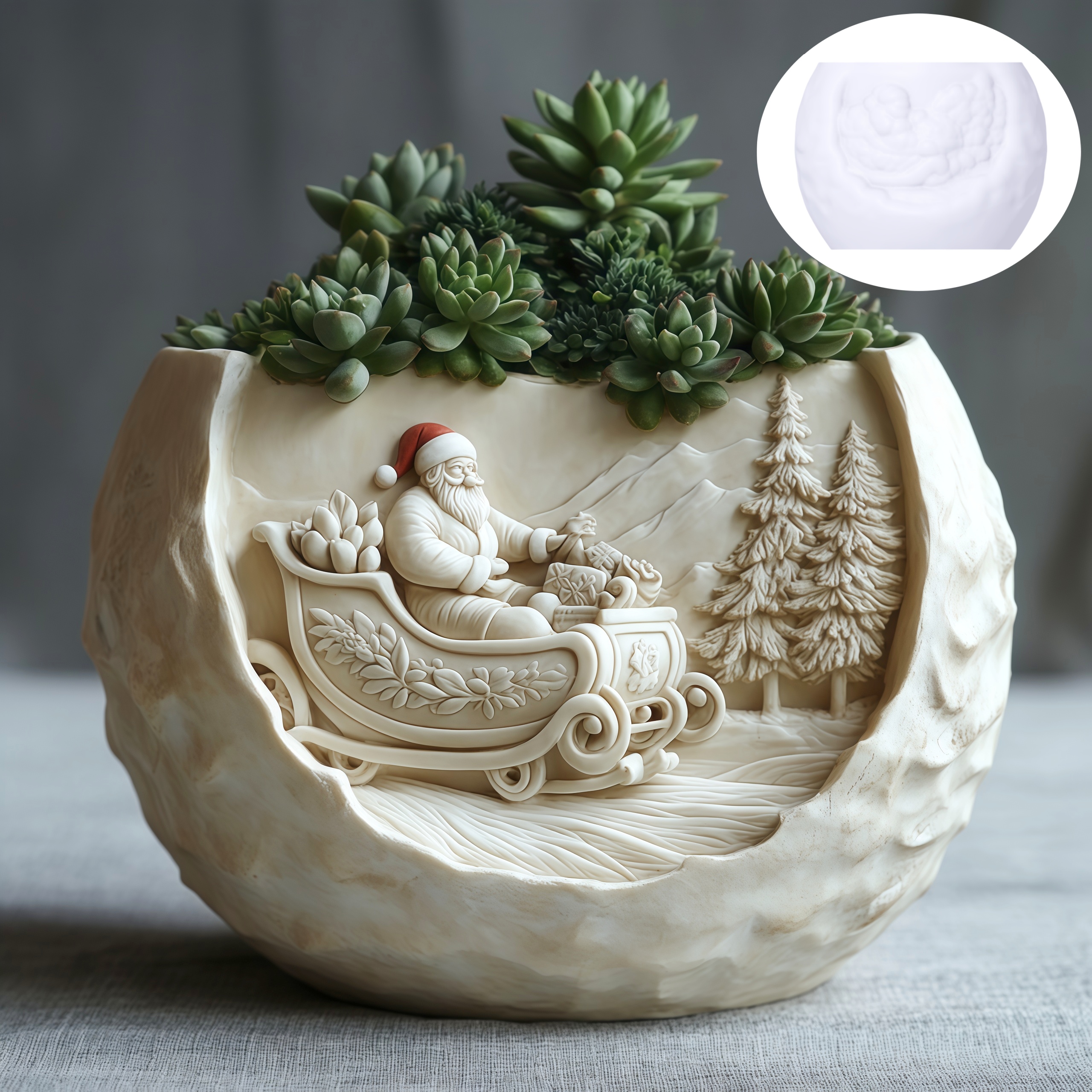 Cedar Sled Santa Claus Relief  - Echeveria Succulent 评论和价格