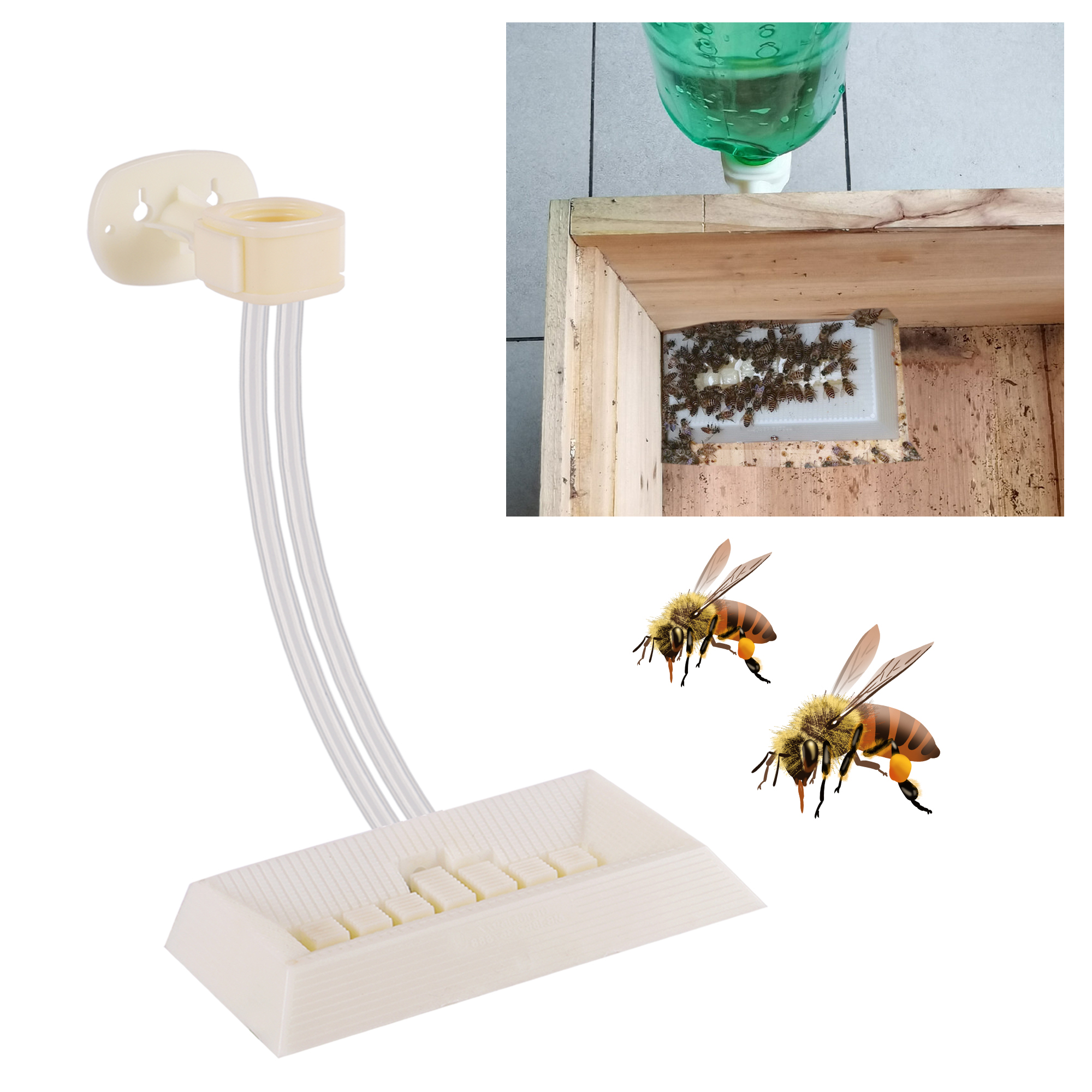 2Pcs Automatic Feeding Drinker - Begonia Rex 评论和价格