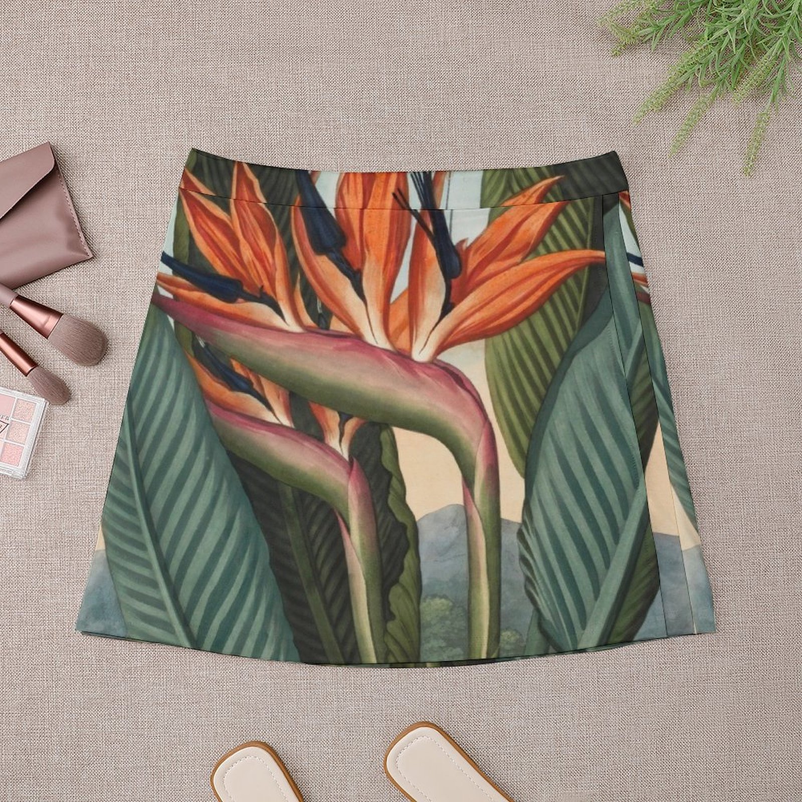 Botanical illustration: Bird o - Bird Paradise Strelitzia 评论和价格