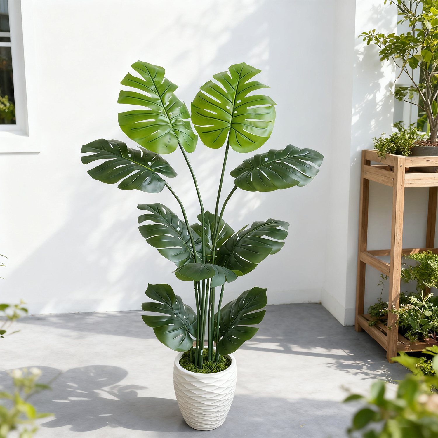 140Cm/4.6Ft Artificial Monster - Dracaena Marginata 评论和价格