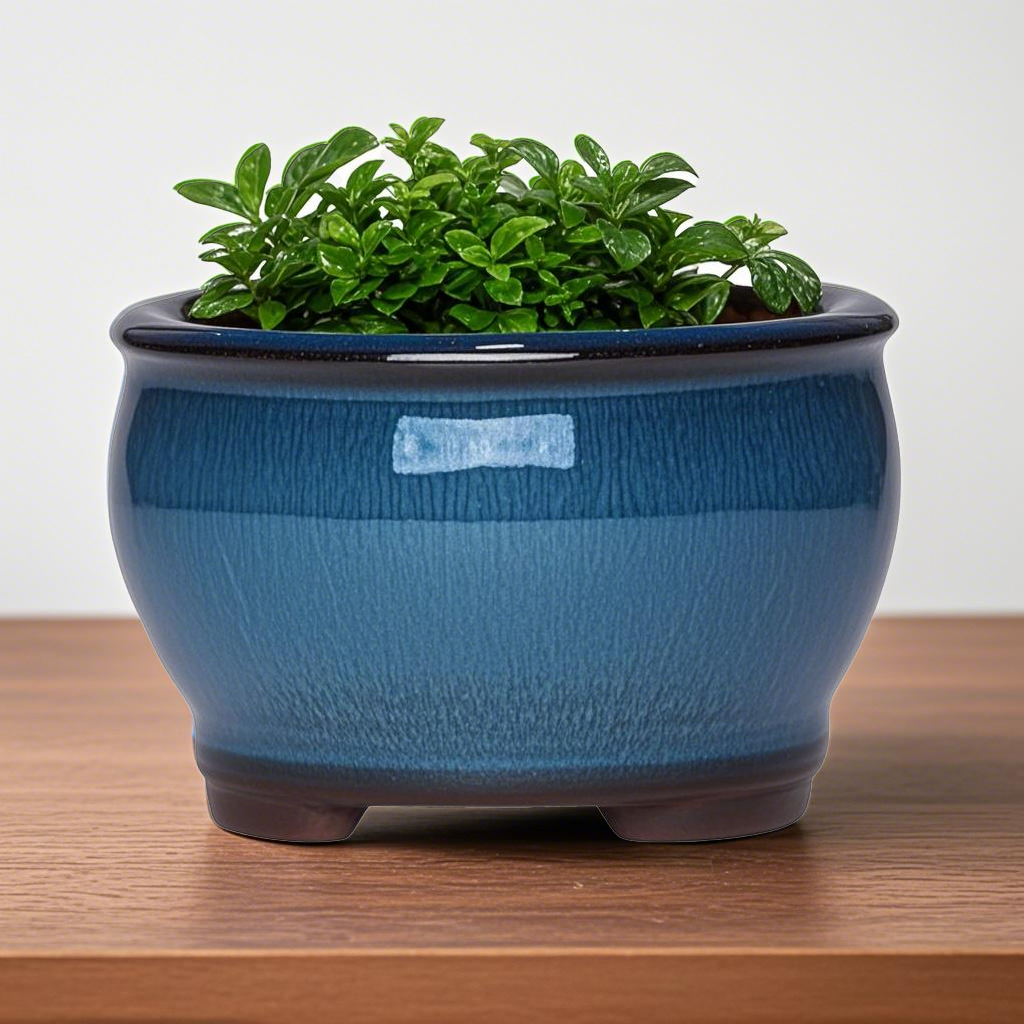 Ceramic Garden Planter Pots Ce - Aloe Vera Pot 评论和价格
