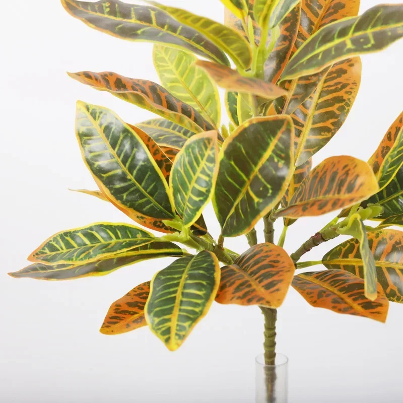 Plastic Artificial Color-chang - Dracaena Marginata 评论和价格
