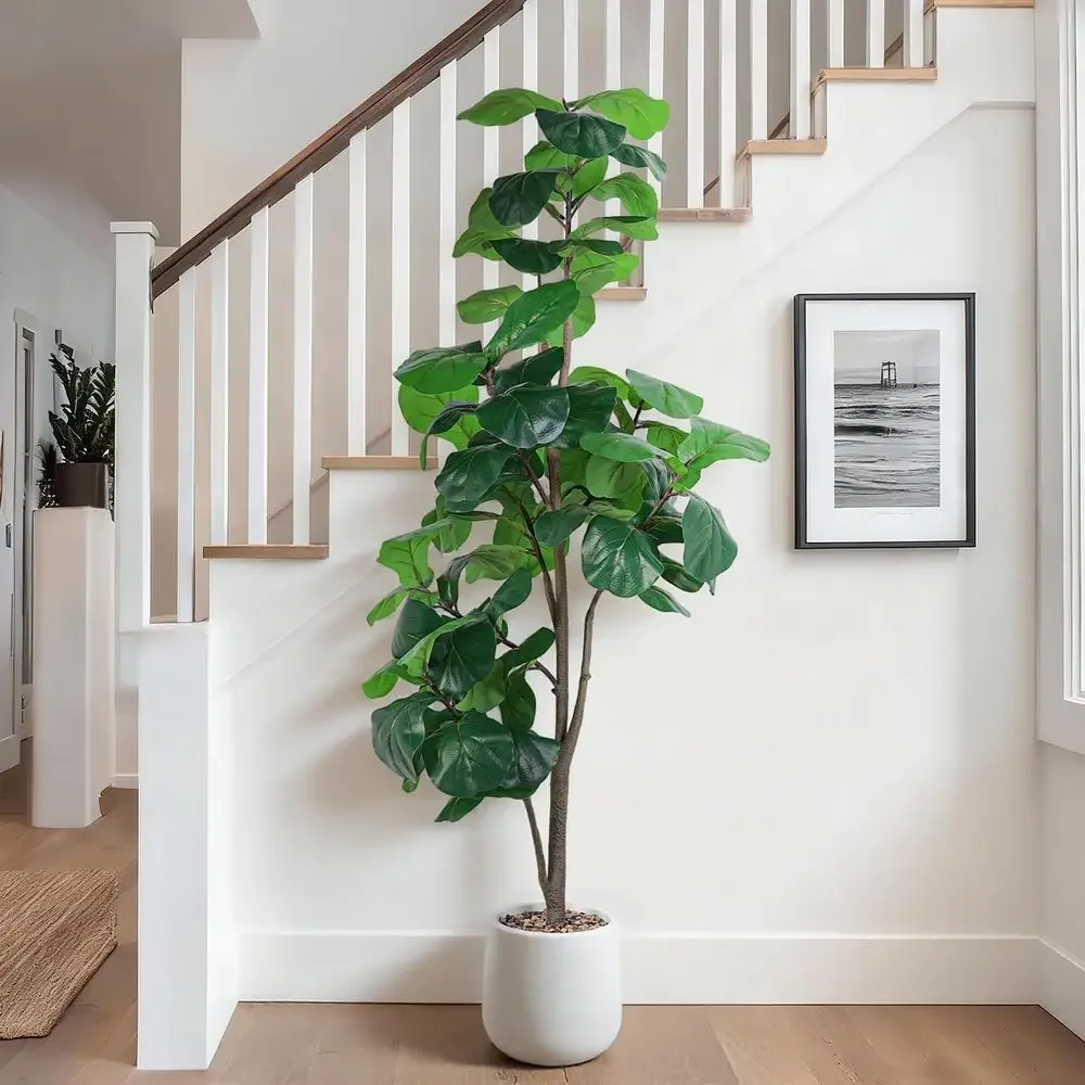 Artificial Large Ficus Lyrata  - Ficus Lyrata Tree 评论和价格