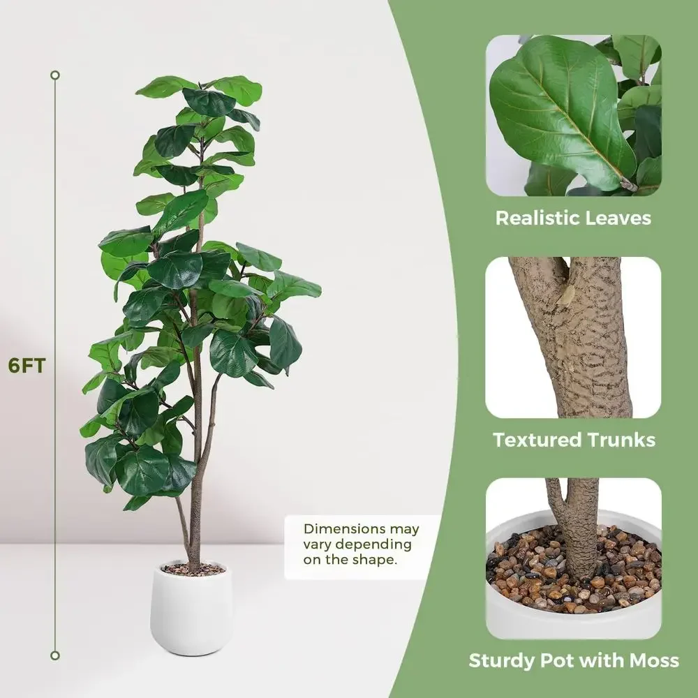 Artificial Large Ficus Lyrata  - Ficus Lyrata Tree 评论和价格