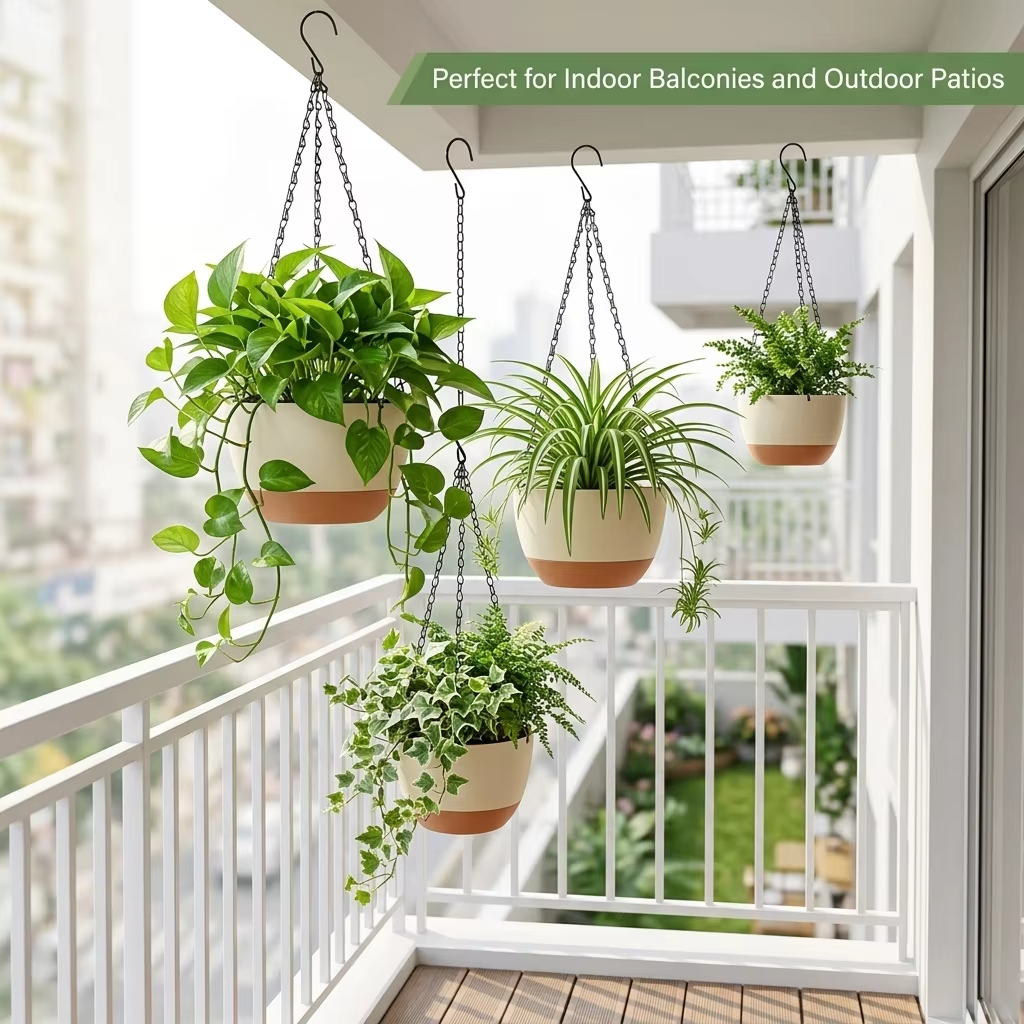 Modern Everyday Dual-Color Han - Spider Plant Hanging 评论和价格