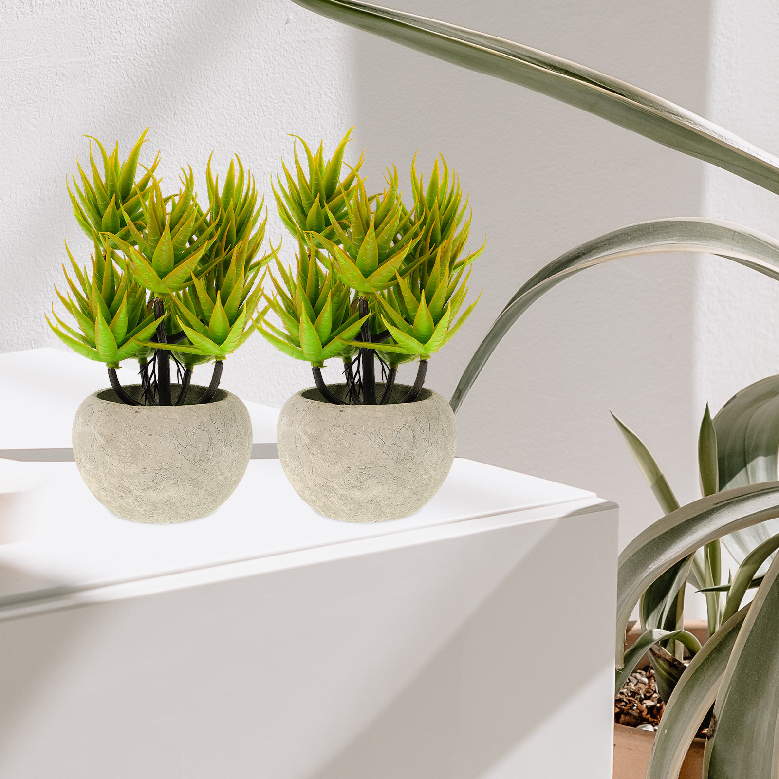 Artificial Aloe Vera Plant Pot - Aloe Vera Pot 评论和价格
