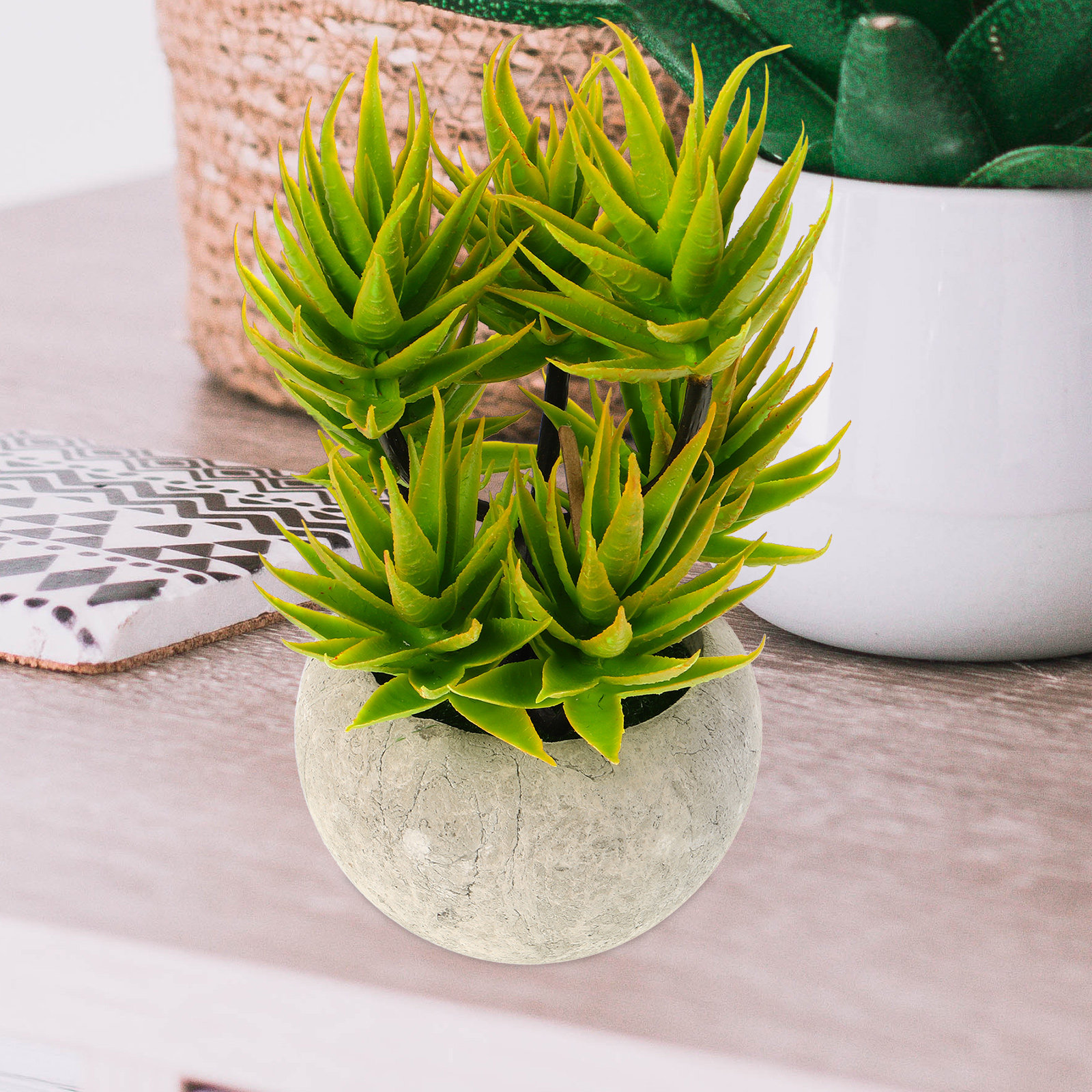 Artificial Aloe Vera Plant Pot - Aloe Vera Pot 评论和价格