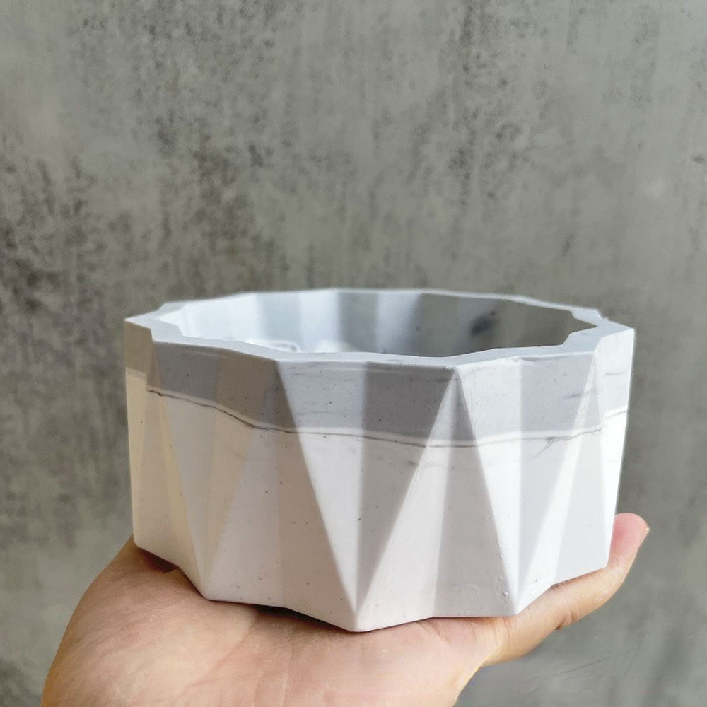 For Fun Flower Pot Silicone Mo - Echeveria Succulent 评论和价格