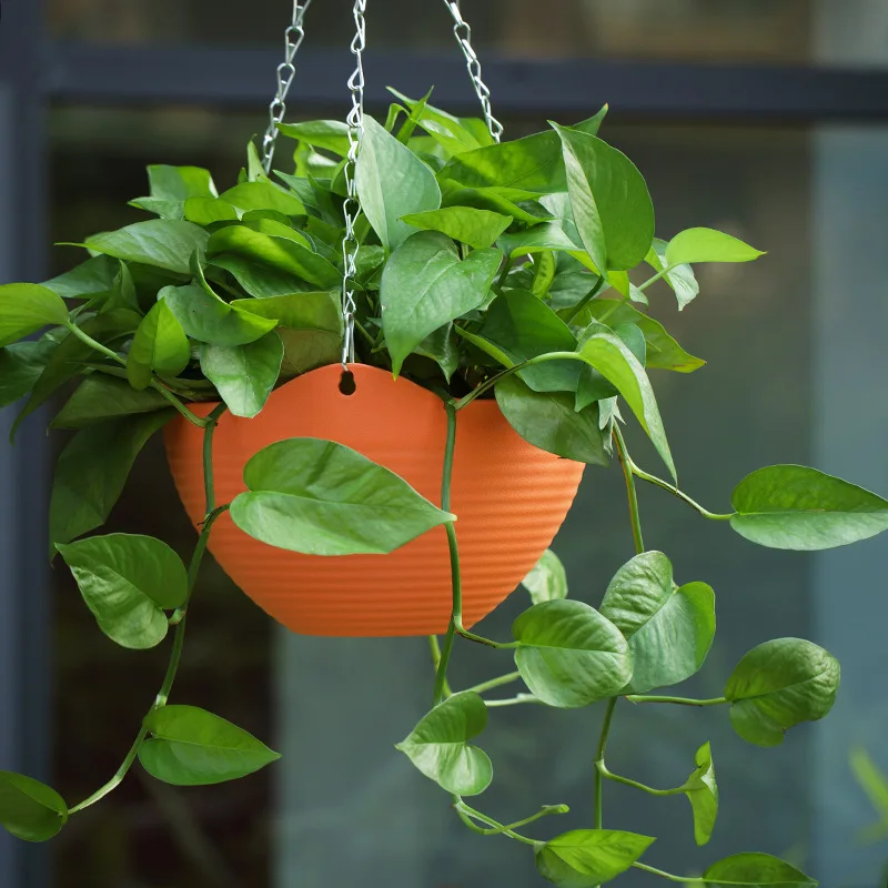 Plastic hanging basket flower  - Spider Plant Hanging 评论和价格